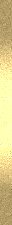 abundancegoldstrip.jpg