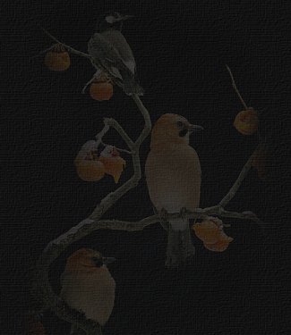 abundancefadepic.jpg