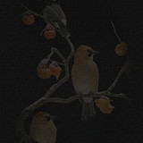 abundancefadepic