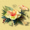 ad natureselegance flower.jpg