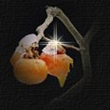 abundancesmallpic