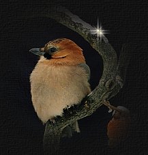 abundancesmpic.jpg