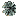 flwr16a.gif