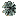 flwr16a