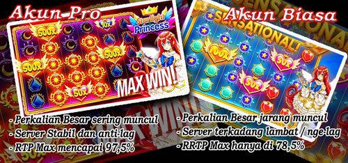 akun pro vs akun biasa.jpg