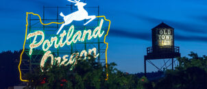 ezgif.com resize (11).jpg