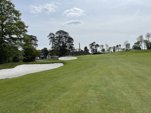 A1861E4E 338C 4D11 BE56 2830E5EE2314.jpg