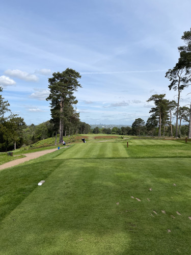 74ACE2B0 4169 4372 A49F 1332CDC0ECBC.jpg