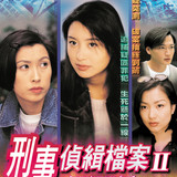 Detective Investigation Files II