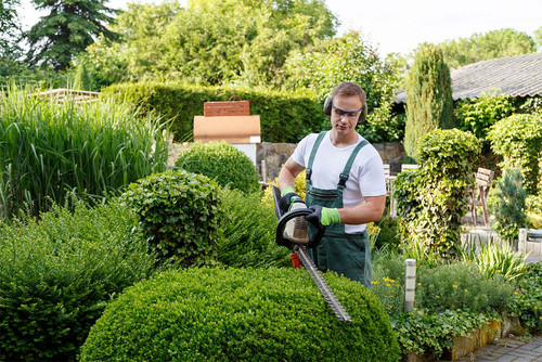 Quality Landscaping Services landscaperpinehursttx.com.jpg