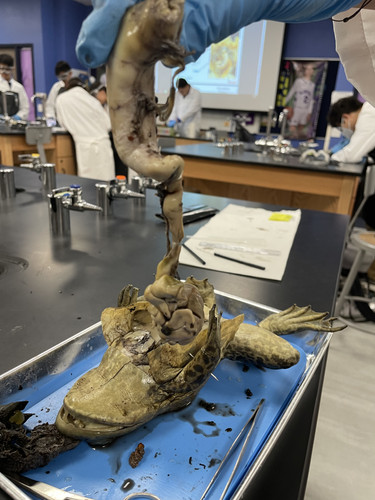 A3DFF416 09F7 4300 B9E7 CD8B67533502.jpg