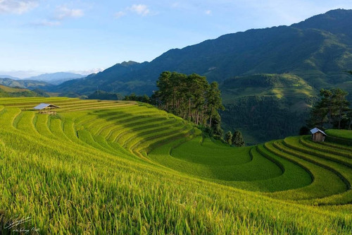 342619923 1361051718075612 6785353702691284418 n.jpg