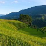 342619923 1361051718075612 6785353702691284418 n