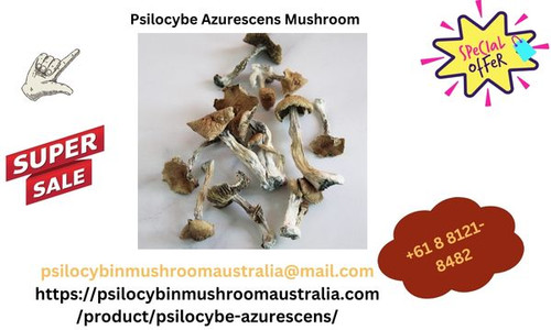 psilocybinmushroomaustralia.jpg