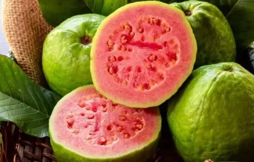 noti 1678476754.webp