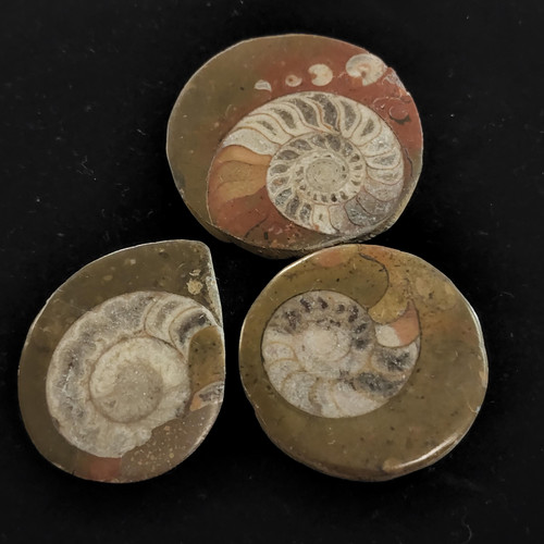 cropped 16842028894721021628390460884917.jpg