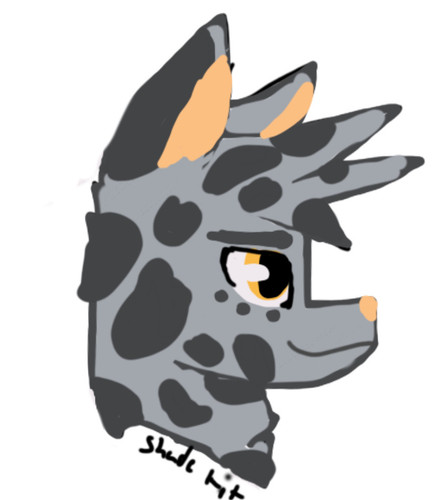 A9B0752D CA48 4254 A8E4 DE6C369C2C30.jpg