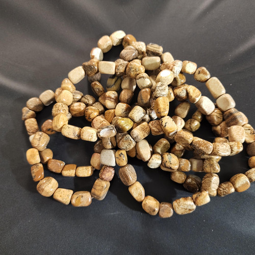 cropped 16842004101022513165368952544420.jpg