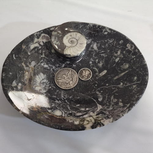 cropped 16842059850534530411851373842299.jpg