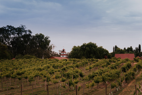 Home Page Banner.jpg