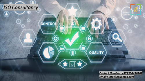 ISO Consultancy.jpg
