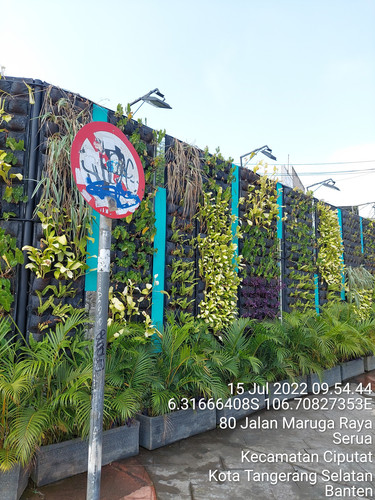 TimePhoto 20220715 095444.jpg