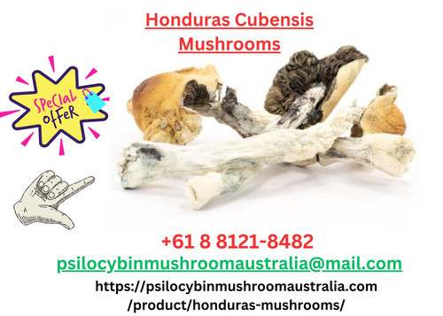 psilocybinmushroomaustralia keywords.jpg