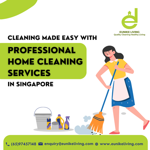 Professional Home Cleaning Services.png