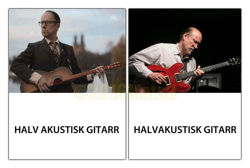 Särskrivningar Halv akustisk gitarr Halvakustisk gitarr.png