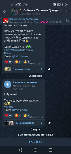 Screenshot 20230302 210611 org.telegram.messenger.jpg