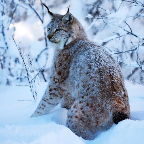 107A1374 7094 41C7 9C0B FC4313ACA0D6.jpg