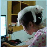JvTRXHkcN3UX.gif