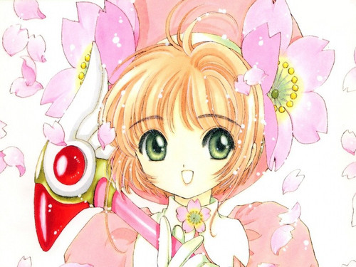CCS Wiki Thumb.jpg