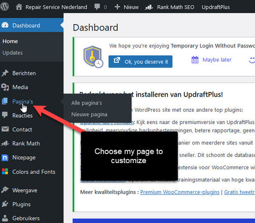 Nicepage screenshot 01.jpg