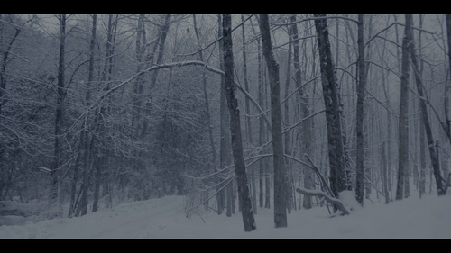 8e72349ca6ab.png