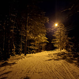 IMG 20230222 2