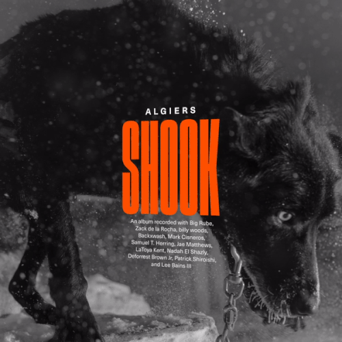 Algiers - Shook.gif