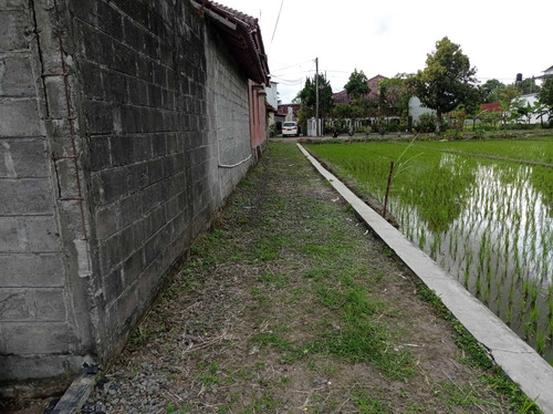 IMG 20230110 153827.jpg