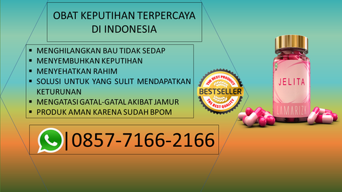 jelita (10).png