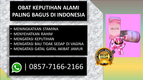 jelita (15).png