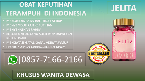 jelita (1).png