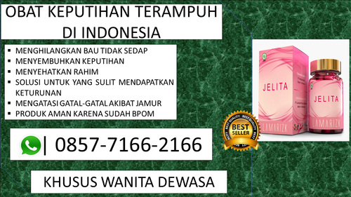 jelita (17).png
