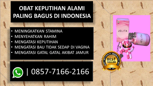 jelita (13).png