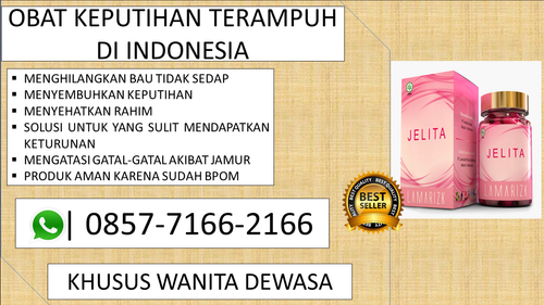 jelita (18).png
