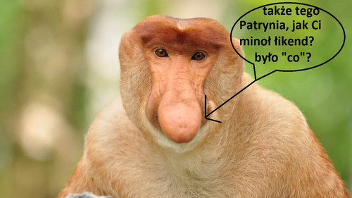 patrynia.jpg