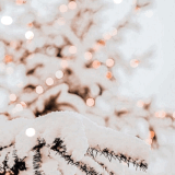 tumblr 44716d506ea685b8c0f99e2d7b4ce231 827f1315 500.gif