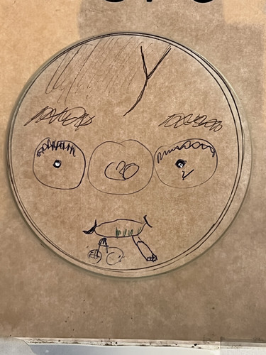 793A14F6 F74A 44B4 8E77 39936A4F3A8E.jpg