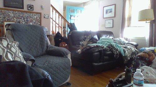 IMG 20230301 100401.jpg
