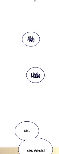 12.webp