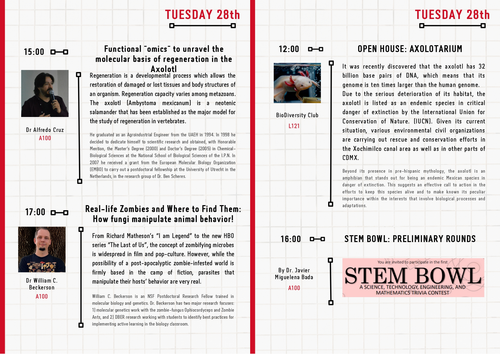 STEM Week Tuesday.png